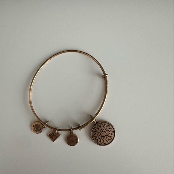 Alex and Ani Charm Bracelet - Picture 3 of 4